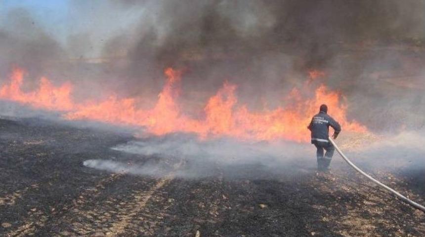 Anız Yakmak Toprağı &Ouml;ld&uuml;r&uuml;yor