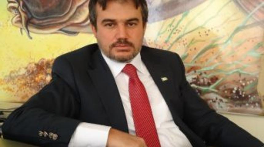 Trabzon Altındere&rsquo;deki Balık &Ouml;l&uuml;mleri Hakkında Su&ccedil; Duyurusu