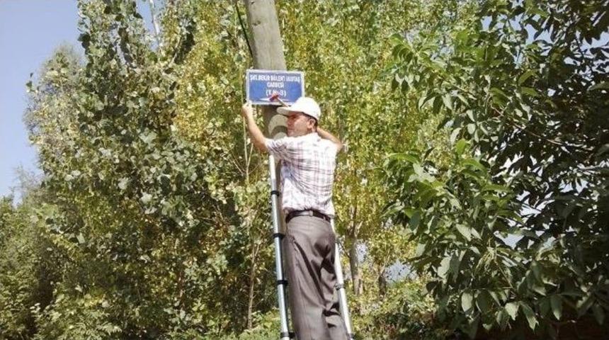 Erbaa&rsquo;da Numarataj &Ccedil;alışması