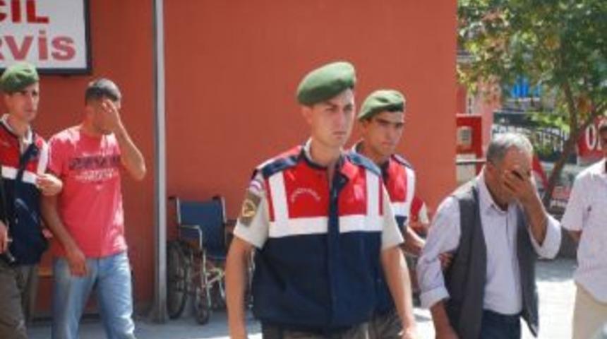 Mısır Tarlasında 30 Bin K&ouml;k Hint Keneviri Ele Ge&ccedil;irildi