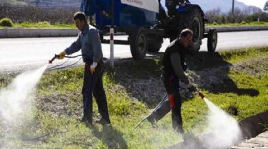 Sel&ccedil;uk'ta Haşere İle M&uuml;cadelede Hızlı &Ccedil;&ouml;z&uuml;m