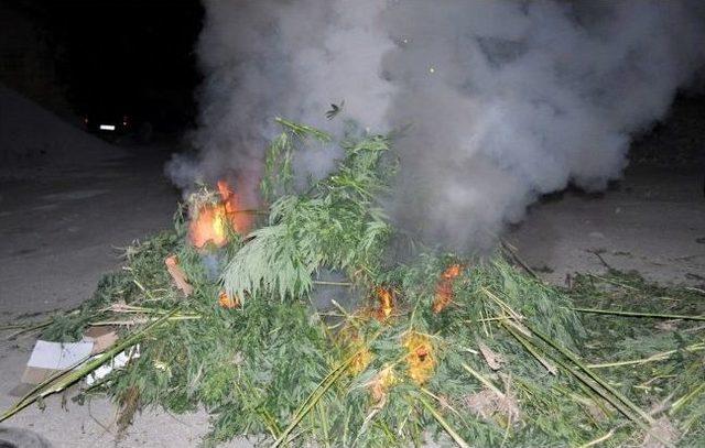 Aydın&rsquo;da Uyuşturucu Operasyonları Devam Ediyor 2