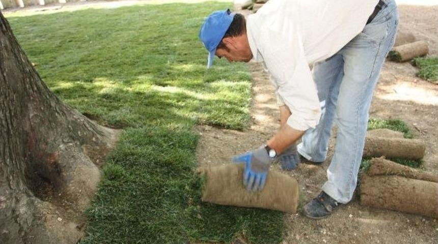 Selimiye&rsquo;nin Bah&ccedil;esine Makyaj