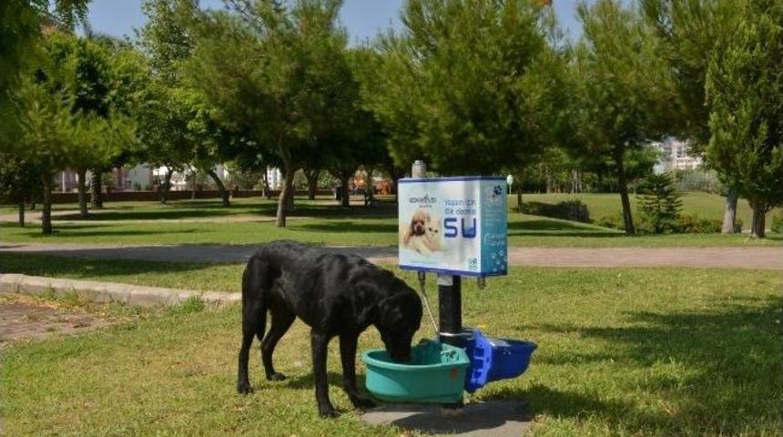 Konyaaltı Belediyesi&rsquo;nden &lsquo;yaşam İ&ccedil;in Bir Damla Su&rsquo; Projesi