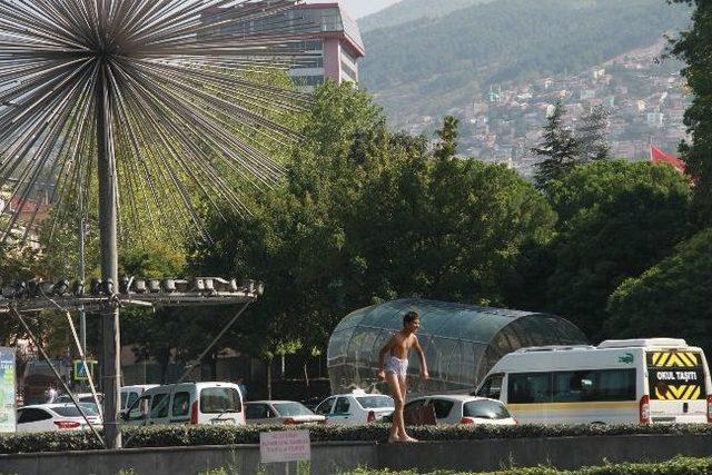 Süs Havuzlarında Tehlikeli Oyun 1