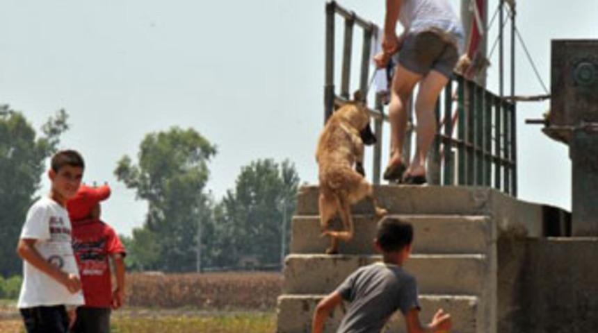 K&ouml;peğe işkence