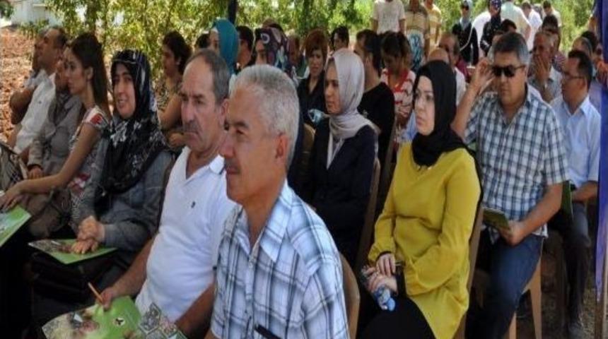 Malatya&rsquo;da Antep Fıstığı &Uuml;retimi Yaygınlaştırılacak
