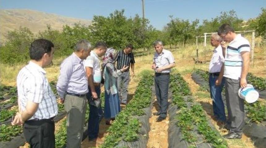 Doğanyol&rsquo;da &Ccedil;ilek &Uuml;retimi Yaygınlaşıyor