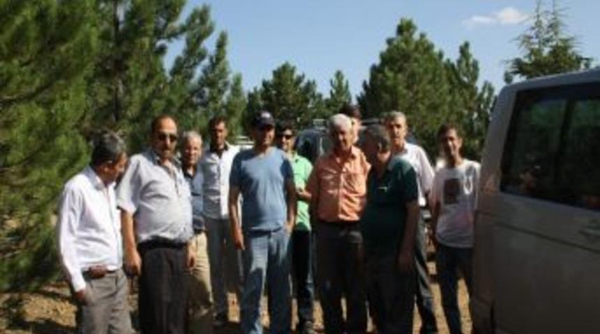 Derbent Aladağ Yolunda İnceleme