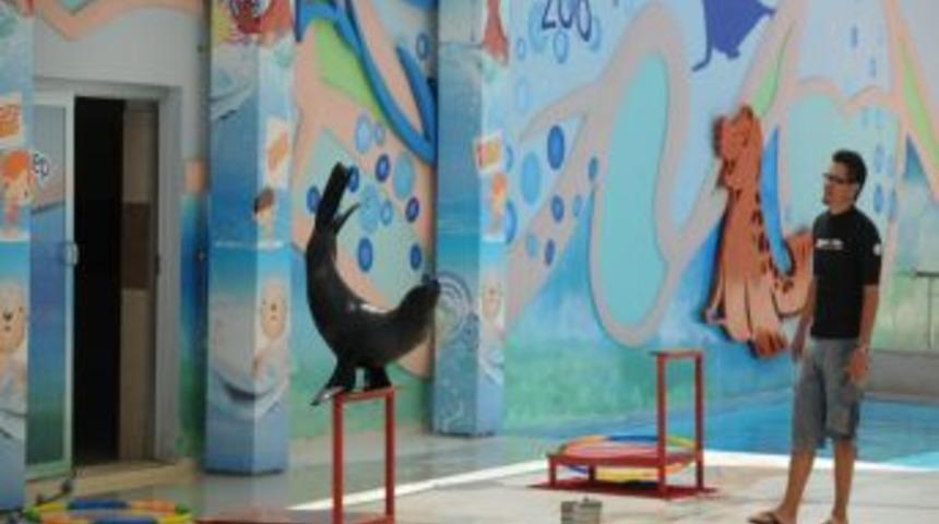 Gaziantep&rsquo;in Foklarını 1 Yılda 120 Bin Kişi Izledi