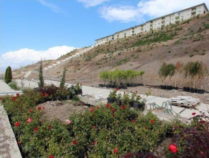 Mevlana Vadisi Tamamlanıyor G3