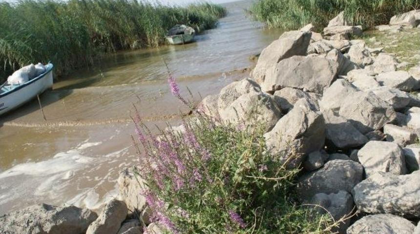 İsrail Sazanının Fiyatı D&uuml;ş&uuml;nce Balık&ccedil;ılar Avlanmaya Ara Verdi