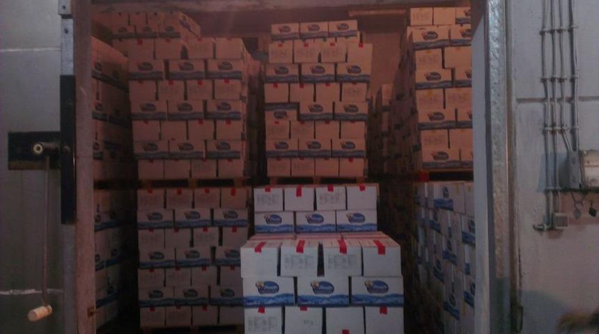 G&uuml;mr&uuml;kte Ele Ge&ccedil;irilen 24 Ton Karides Satıldı, Hazineye 243 Bin Lira Girdi