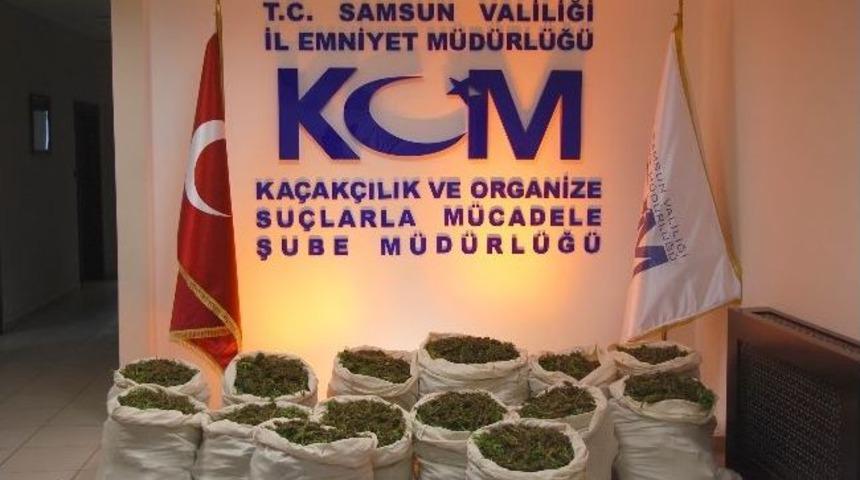 Tarlasında Esrar Ele Ge&ccedil;en Karı-kocaya G&ouml;zaltı