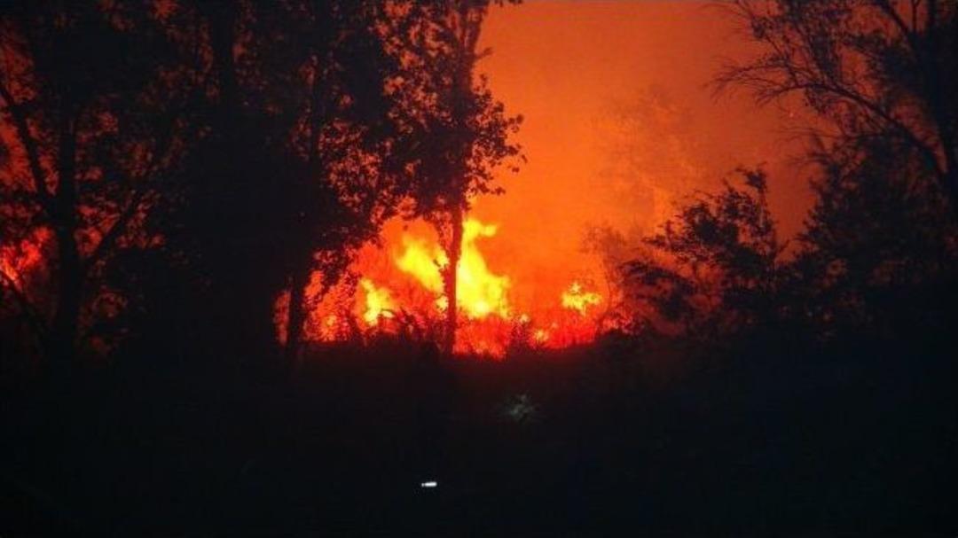 Muğla'da Ateşten Hafta