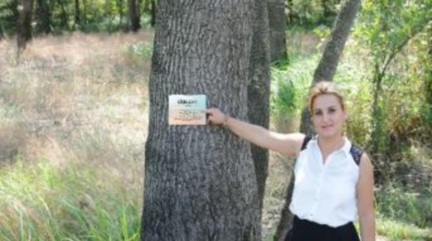 &Ccedil;akırlar'da Ağa&ccedil;lara K&uuml;nye