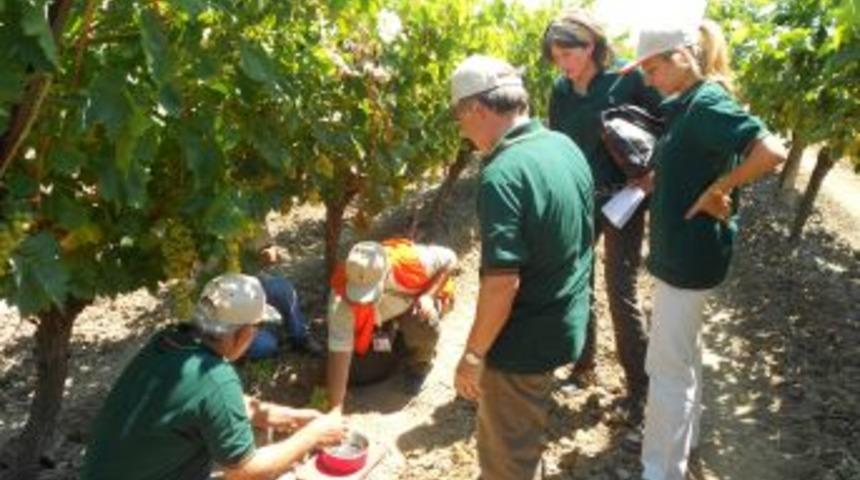 TARSİM, Manisa'da Eskpertiz &Ccedil;alışmalarını Tamamladı