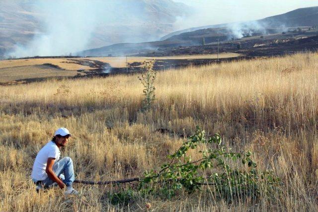 Şarkışla da Anız Yangını 1