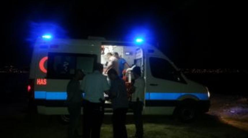 Balık merakı canına mal oldu