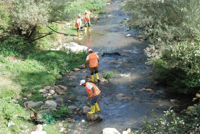 Bitlis Deresi’nde Temizlik Çalışması