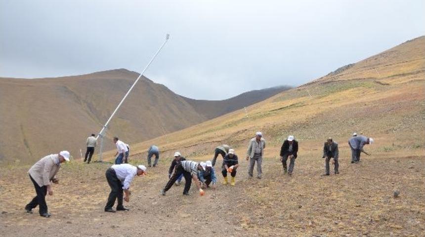 Kayak Pistlerindeki Taşlar Temizlendi