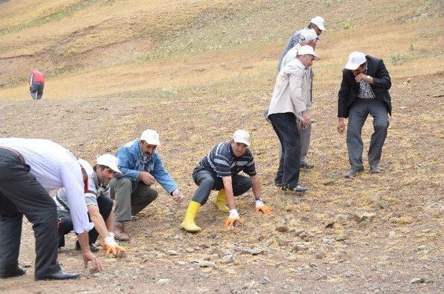 Kayak Pistlerindeki Taşlar Temizlendi