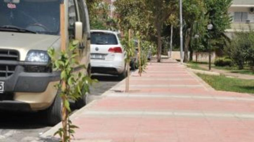 Yenişehir&rsquo;e Turun&ccedil; Fidanları Dikildi