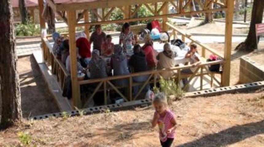 Kestaneci Piknik Alanı Yoğun Ilgi G&ouml;r&uuml;yor