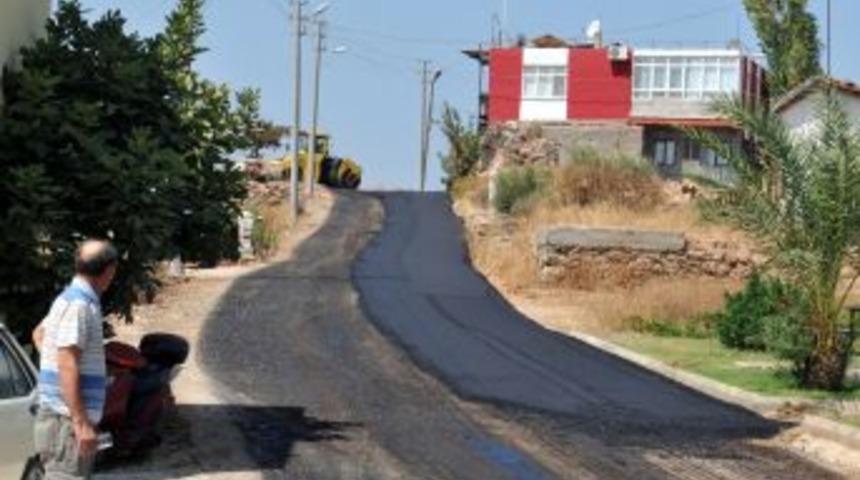 Masa Dağı Etekleri G&uuml;zelleşiyor