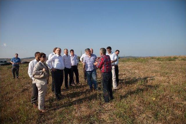 Satso Yeni Osb İçin Ferizli’de Arazi Araştırdı