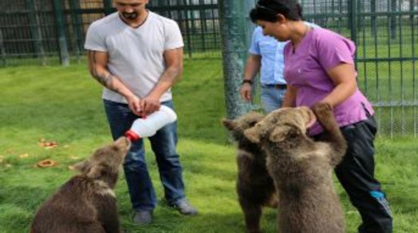 Hale, Lale Ve Jale Hayvanat Bah&ccedil;esinin Maskotu Oldu