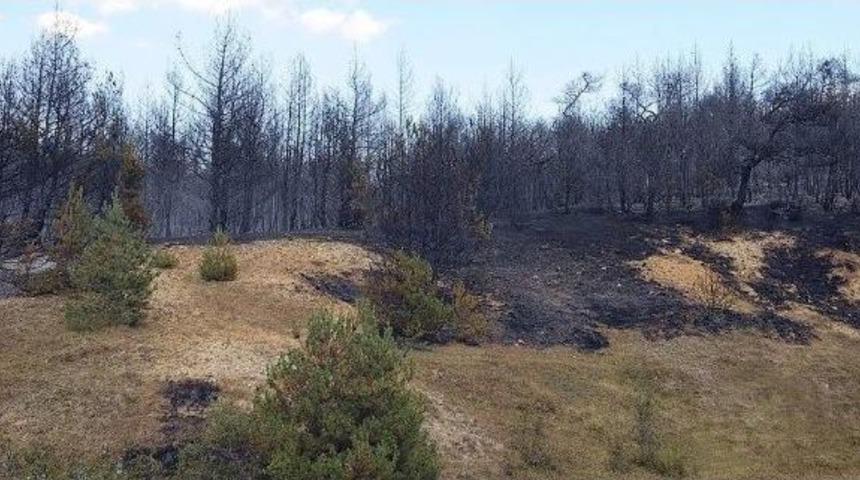 Kastamonu&rsquo;da Orman Yangını