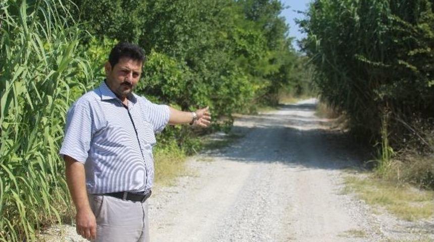 Vekil Devreye Girdi, Yol Islah Edildi