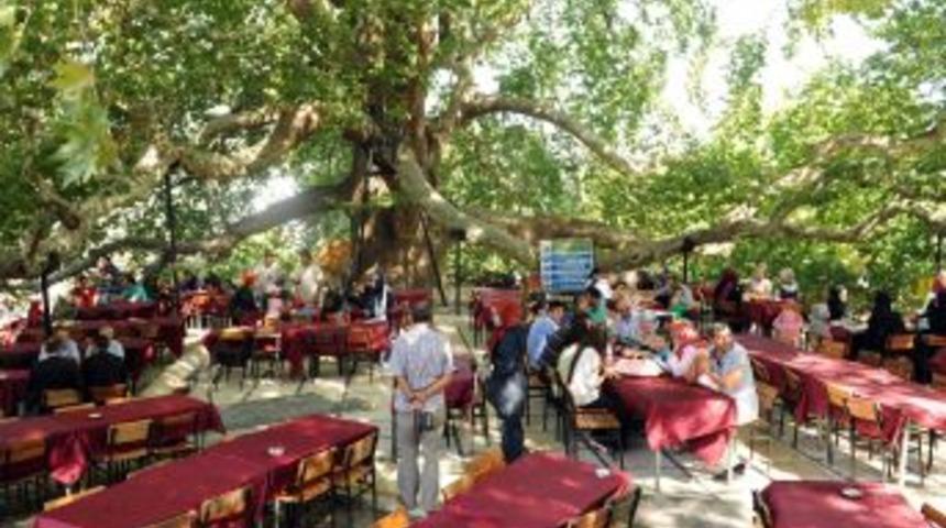 600 İnkaya &Ccedil;ınar&rsquo;ı Yeni Y&uuml;z&uuml;ne Kavuşuyor