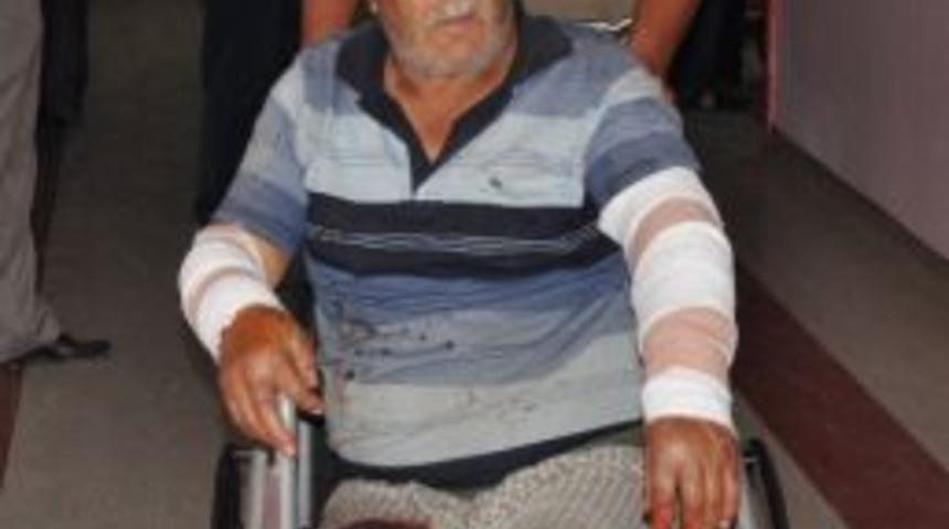 K&ouml;peğin Saldırısına Uğrayan Kişi Hastanelik Oldu