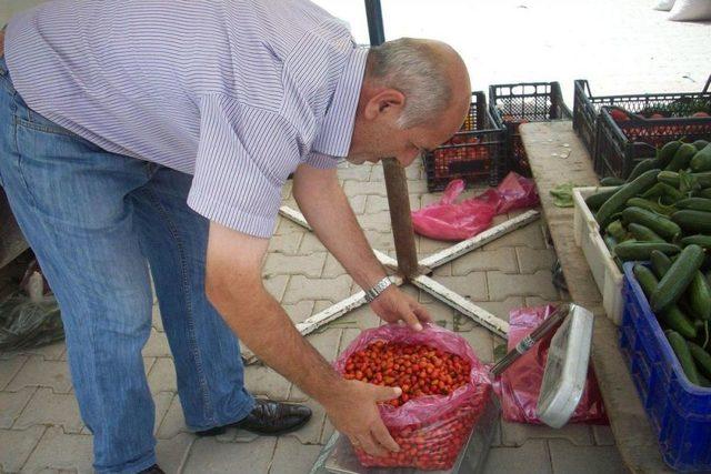 Kavak'ta Kuşburnu Geçim Kaynağı Oldu