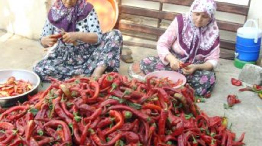 Ev Hanımları Kırmızı Toz Biber Hazırlığında