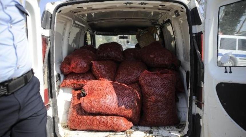 &Ccedil;anakkale&rsquo;de Midye Operasyonu