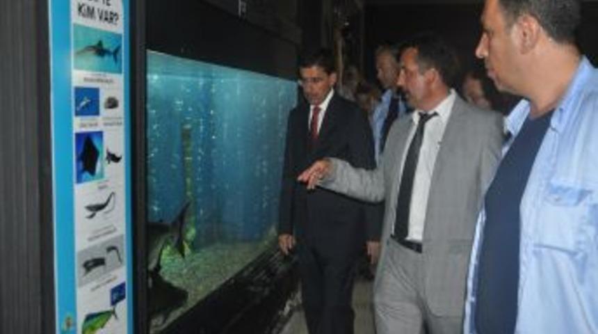 Vali Topaca, Darıca Hayvanat Bah&ccedil;esi'ni Gezdi