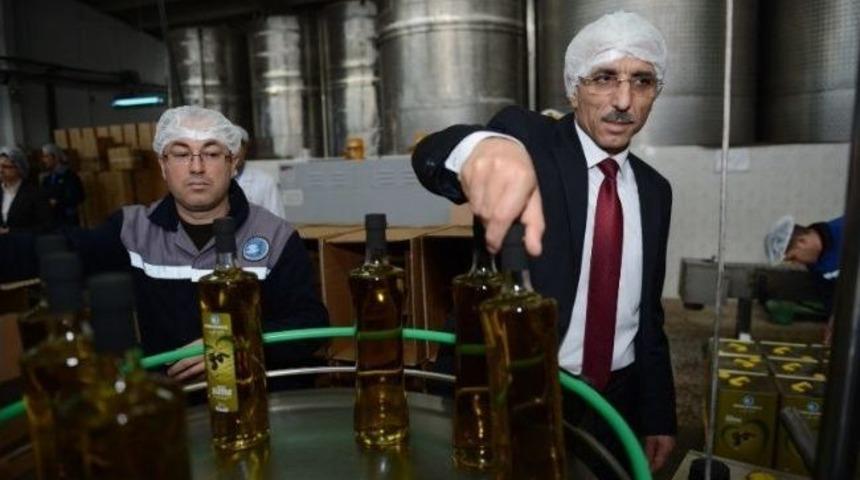 Marmarabirlik&rsquo;ten Zeytin Dalı