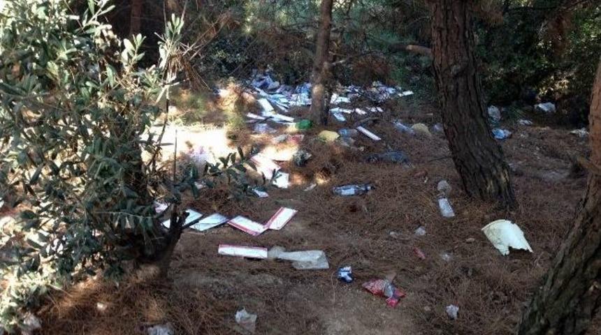 Ptt Damgalı Tebrik Kartları &Ccedil;&ouml;pl&uuml;kten &Ccedil;ıktı