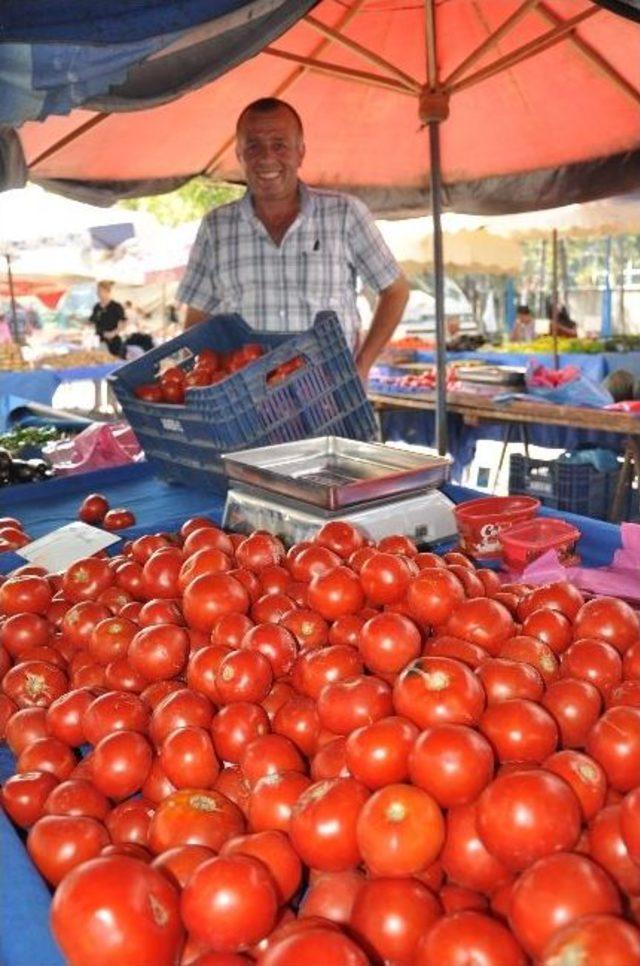 Domatesler Üreticinin Elinde Kaldı