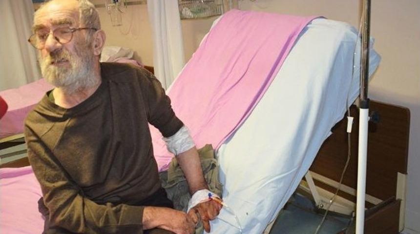 Yaşlı Adama Fareler Saldırdı