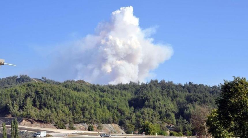 T&uuml;rkiye Sınırında Orman Yangını
