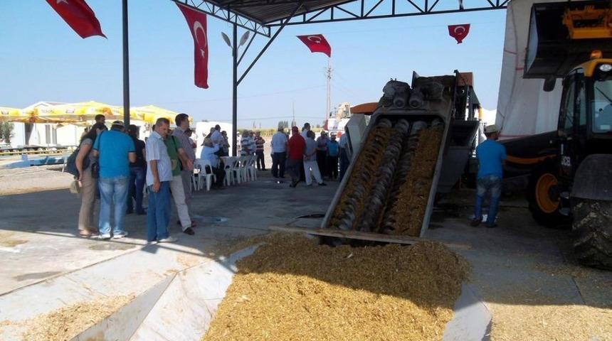 Ayvalık'ta Tarla G&uuml;n&uuml;