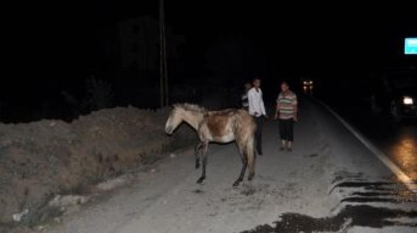 Ata &Ccedil;arpıp Ka&ccedil;tı, Başka S&uuml;r&uuml;c&uuml;ler Yardım Etti