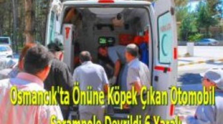 Osmancık'ta &ouml;n&uuml;ne k&ouml;pek &ccedil;ıkan otomobil şarampole devrildi: 6 yaralı