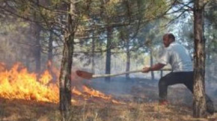 Mahalleye yaklaşan orman yangını korkuttu