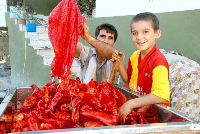 Akdeniz Mutfağının Vazge&ccedil;ilmezi Sal&ccedil;alık Biberler Kışa Hazırlanıyor 1