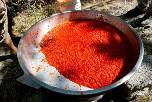 Akdeniz Mutfağının Vazge&ccedil;ilmezi Sal&ccedil;alık Biberler Kışa Hazırlanıyor 2